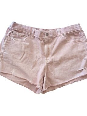 NWOT Aerie shorts